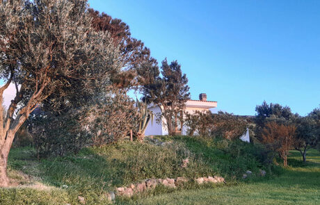 meerausblick-la-casetta-haus-sardinien-2