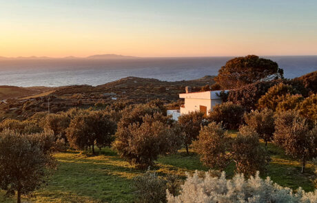 meerausblick-la-casetta-haus-sardinien-3